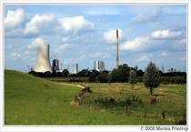 Blick �ber die Weiden von Binsheim (Duisburg-Baerl) auf das HKW Walsum.