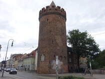 Brandenburg, Steintorturm, erbaut im 15. Jahrhundert, heute Stadtmuseum (10.07.2025)