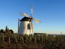 Windm�hle (eine der beiden letzten, betriebsf�higen in �sterreich) ist ein Wahrzeichen der Weinstadt RETZ;251029