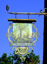 Ungersheim, ECO-Museum, historisches Wirtshausschild  Zum grnen Baum , aus dem Elsa, Mai 2025