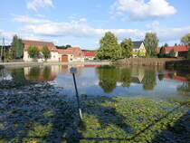 H�user am Dorfteich von Merzdorf / Mark (08.09.2025)