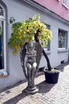 RADOLFZELL am Bodensee (Landkreis Konstanz), 16.10.2025, in der Radolfzeller Altstadt