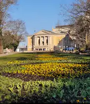 Wenn's in Halle (Saale) Fr�hling wird: Fr�hbl�her vor dem Opernhaus am Juliot-Curie-Platz.

🕓 21.3.2025 | 8:13 Uhr