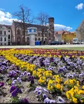 Bunt wird's auf der Herrenbreite in Aschersleben: im Vordergrund Fl�hbl�her, im Hintergrund die Weltzeituhr und das alte Postamt.

🕓 6.4.2025 | 12:59 Uhr