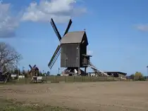 Beelitz, Bockwindm�hle an der Trebbiner Stra�e, erbaut 1792 (12.03.2026)