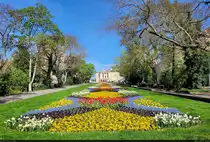 Eine Augenweide in jedem Fr�hjahr ist das Blumenbeet vor dem Opernhaus am Juliot-Curie-Platz in Halle (Saale).

🕓 16.4.2025 | 9:54 Uhr