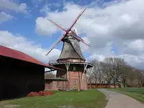 B�ngelshausen, Bockwindm�hle, erbaut 1851 (27.03.2026)