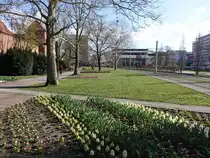 Cottbus, Stadtmauer an der Stadtpromenade (03.04.2026)