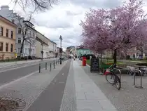 F�rstenwalde / Spree, H�user in der Rathausstra�e (05.04.2026)