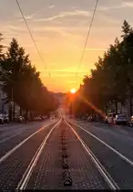Das hallesche San Francisco:
An den l�ngsten Tagen des Jahres im Juni zieht die Ludwig-Wucherer-Stra�e in Halle (Saale) etliche Fotografen und Schaulustige an. Die Sonne geht dann genau in der Richtung der Stra�e unter und taucht sie so in ein goldenes Licht.

🕓 13.6.2025 | 21:19 Uhr