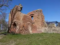 Ruine der Burg Greiffenberg,  H�henburg auf einer Anh�he im Welsetat, erbaut 1224 (09.04.2026)