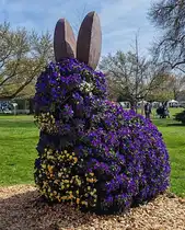 Blumenschmuck in Erfurter EGA-Park im April 2025