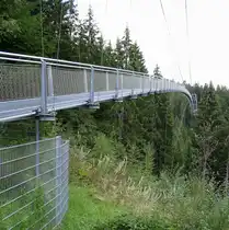 Bad Wildbad, die Fu�g�ngerh�ngebr�cke  Wildline , 380m Spannweite, 60m hoch, 141 Tonnen Gewicht, Juli 2018 eingeweiht, Sept.2026 Sept.2026