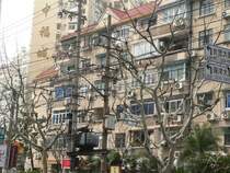 Telefon- und Stromverkabelung sowie die B�ume veranlassten mich zu einem chaotisch wirkenden Foto. April 2006