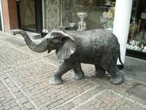 Ein Elefant in Aachen, 20.09.2004.