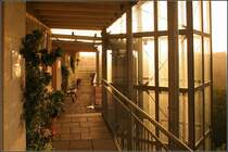 Daheim... 23.07.2009 (Matthias)