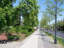 Fr�hling in F�rstenwalde  Aufgenommen am 30 April 09