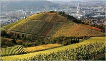 Blick vom Wrttemberg ber den Mnchberg ins Neckartal. Starker Konstrast des herbstlichen Weinberges vor der grauen Stuttgarter Industrielandschaft. 6.11.2005 (Matthias)