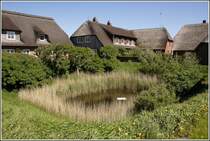 Die Huser auf der Knudtswarf umstehen den Fething der Hallig Grde. 10.05.2009
