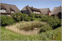 Die H�user auf der Knudtswarf umstehen den Fething der Hallig Gr�de. 10.05.2009