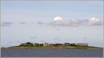 Auf der Hallig Oland sind aller Geb�ude auf einer Warf konzentriert. 10.05.2009