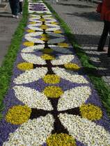 Blumenteppich in H�fingen aufgenommen am 11.06.09 Fronleichnam.