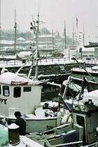 Blick von R�dhusplassen zur Festung Akershus (9. M�rz 2006)