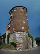 Krakow - Wawel 08.2009.