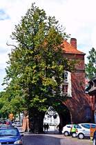 R�ckseite des Kniepertor in Stralsund, 11.07.09