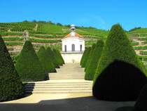 S�chsisches Staatsweingut Schloss Wackerbarth: Belv�d�re. 10.09.2009