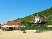 S�chsisches Staatsweingut Schloss Wackerbarth in Radebeul West: Restaurant, Markt und Belv�d�re von der Mnaufaktur aus aufgenommen. 10.09.2009