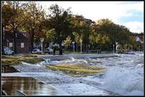Wer soll das blo� wegmachen. Tonnenweise angesp�ltes Seegras. (Sundpromenade im Feuerwehrbogen)