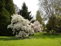 Lahr, Stadtpark zur Frhlingszeit,
2008