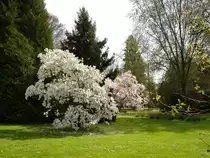 Lahr, Stadtpark zur Fr�hlingszeit,
2008