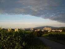 Freiburg/Breisgau,
Blick auf den Stadtteil Landwasser,
Aug.2008