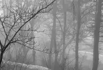 - L�denscheid - nebelig-tr�b am Silvestertag - hoffentlich gibts f�r 2010 bessere  Aussichten  -