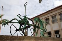 TAVIRA (Concelho de Tavira), 11.02.2010, beim Landwirtschaftlichen Institut