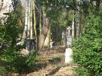 Der Friedhof in K�strin-Kietz beherbergt noch viele Gr�ber aus dem 19. Jahrhundert. Auch Opfer der beiden Weltkriege sind hier begraben. 3.2.2007