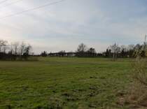 Guben, Ortsteil Deulowitz, Birkenallee, 01.04.10