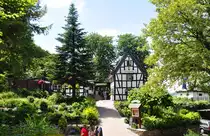 Das  Winzerhuschen  mit Rhein-Terrasse. Schn gelegene Gaststtte auf dem halben Weg von Knigswinter zum Drachenfels. 13.06.2010
