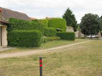 Laucha an der Unstrut -  Hecken-Sofa  an der alten stadtmauer auf dem Schtzenhausplatz - 19.06.2010