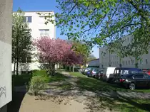 Grevesmhlen; Frhling im Wohngebiet  Ploggenseering  02.05.2010