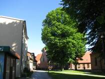 Grevesmhlen; Kirchplatz, Pfarr-, Gemeinde- und Ksterhaus 16.06.2010