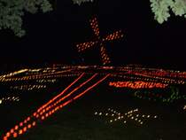 aufgenommen auf dem lichterfes 2008
in bad harzburg im stadtpark
