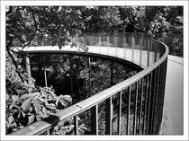 Zur Internationalen Gartenbauaustellung 1993 entstand dieser Weg durch die B�ume. Es handelt sich um die Rampe zum Fu�g�ngersteg am L�wentor. 2005 (Jonas)