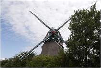 Mhle Charlotte auf der Geltinger Birk. 06.08.2010