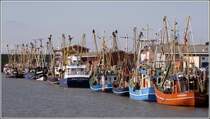 Im Fischereihafen von Bsum herrscht reger Betrieb von Krabbenkuttern. 13.08.2010