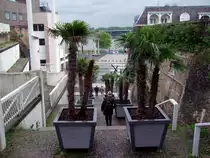  S�dl�ndischer-Flair  bietet die mit Palmen best�ckte Treppe zum Waal;100829