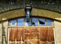 Rund um den Berliner Bahnhof Friedrichstrae gibt es noch einige nicht genutzte Stadtbahnbgen. 17.7.2008