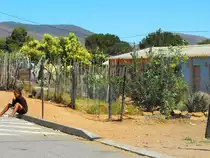 Tows River, Mittagszeit, Rast vor dem Familyhome. 08.12.2009